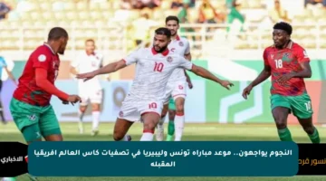 النجوم يواجهون.. موعد مباراة تونس وليبيريا في تصفيات كأس العالم أفريقيا المقبلة